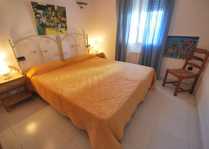 Azahar Whole 德尼亚