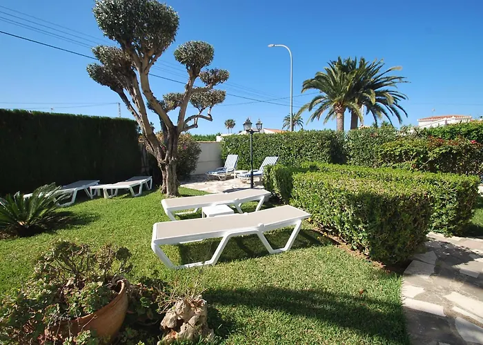 Azahar Whole * Denia